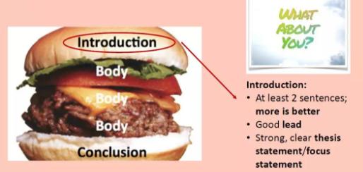 expository essay的introduction